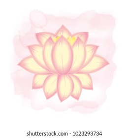 vector blossoming Lotus flower on a pink background watercolor stains