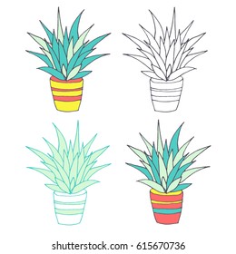 Vector blue agave illustration, hand drawn sketch set with cactus in flowerpot. Mexican style design with desert succulent, colored and outline