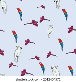 Vector blue background tropical birds, parrots, macaw, exotic cockatoo birds. Seamless pattern background