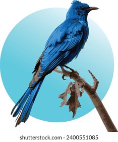 vector blue bird perched on a tree branch, with a blue gradient background