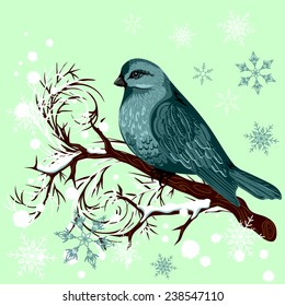 Vector blue bird sitting on the branch with snow