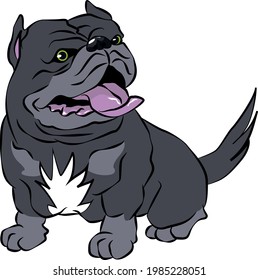 Vector Blue Bully (American Bully) Illustration