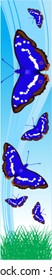 vector blue butterflies banner