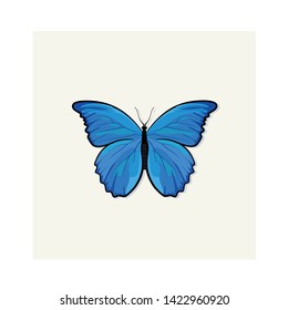 Vector blue butterfly isolated  illustration 