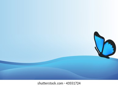 vector blue butterfly isolated on white  background