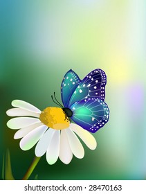 Vector blue butterfly on the daisy-flower with the sky background