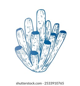 Vector blue coral. Hand painted line reef sketch. Graphic tropical clip art isolated on background. Underwater illustration. For designers, invitations, decoration, postcards, wrapping paper