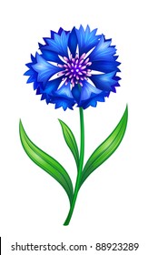 Vector blue cornflower. EPS10