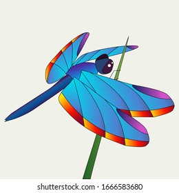 Vector blue dragonfly illustration on grey background