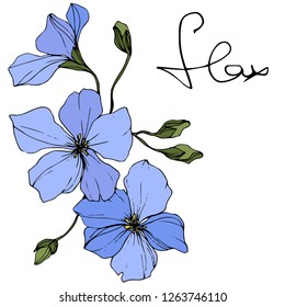 Vector. Blue flax. Floral botanical flower. Green spring leaf wildflower isolated. Engraved ink art. Isolated flax illustration element on white background.