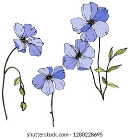 Vector Blue flax. Floral botanical flower. Wild spring leaf wildflower isolated. Engraved ink art. Isolated flax illustration element.