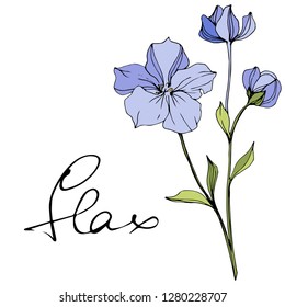 Vector Blue flax. Floral botanical flower. Wild spring leaf wildflower isolated. Engraved ink art. Isolated flax illustration element.