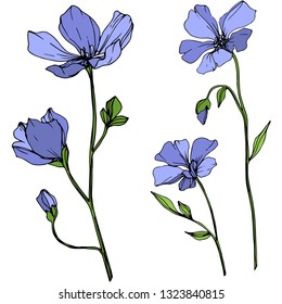 Vector Blue Flax floral botanical flower. Wild spring leaf wildflower isolated. Engraved ink art. Isolated flax illustration element on white background.
