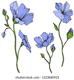 Vector Blue Flax floral botanical flower. Wild spring leaf wildflower isolated. Engraved ink art. Isolated flax illustration element on white background.