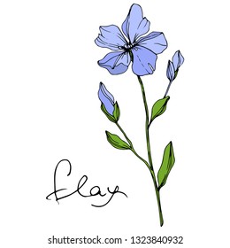 Vector Blue Flax floral botanical flower. Wild spring leaf wildflower isolated. Engraved ink art. Isolated flax illustration element on white background.