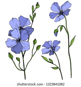 Vector Blue Flax floral botanical flower. Wild spring leaf wildflower isolated. Engraved ink art. Isolated flax illustration element on white background.