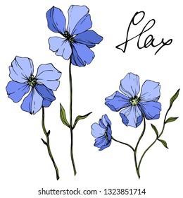 Vector Blue Flax floral botanical flower. Wild spring leaf wildflower isolated. Engraved ink art. Isolated flax illustration element on white background.