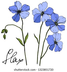 Vector Blue Flax floral botanical flower. Wild spring leaf wildflower isolated. Engraved ink art. Isolated flax illustration element on white background.
