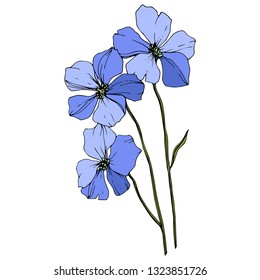 Vector Blue Flax floral botanical flower. Wild spring leaf wildflower isolated. Engraved ink art. Isolated flax illustration element on white background.