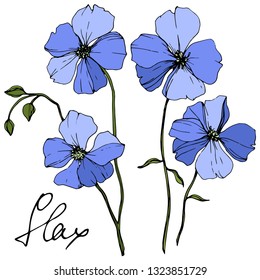 Vector Blue Flax floral botanical flower. Wild spring leaf wildflower isolated. Engraved ink art. Isolated flax illustration element on white background.