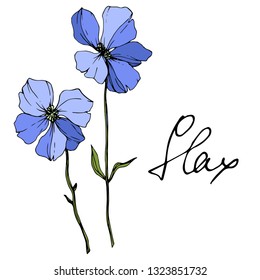 Vector Blue Flax floral botanical flower. Wild spring leaf wildflower isolated. Engraved ink art. Isolated flax illustration element on white background.