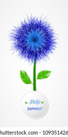 Vector blue flower. Hello summer banner.