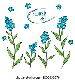 vector blue forget me not flowers set