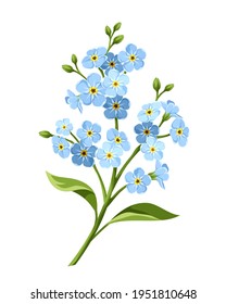 Vector blue forget-me-not flowers isolated on a white background.