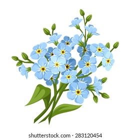 Vector blue forget-me-not flowers isolated on a white background.