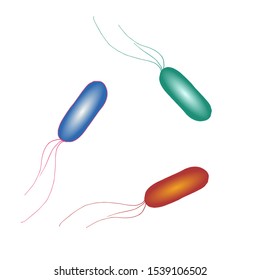 Vector blue, green, red bacteria and viruses set isolated on white. Cartoon medical illustration