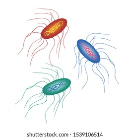 Vector blue, green, red bacteria and viruses set isolated on white. Cartoon medical illustration