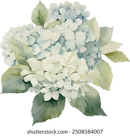 Vector, blue hydrangea, Bouquet, festive flowers, Watercolor illustration, Greeting cards, invitation, party, baby shower, birthday, event, holiday, wedding card, printable.