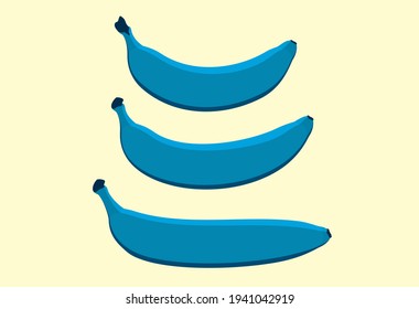 Vector Blue Java Bananas of different shapes. Three ripe bananas drawn in a flat design. Cartoon fruit