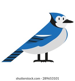 Vector Blue Jay Illustration Isolated On White Background