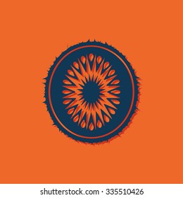 Vector blue kiwi icon on orange background 