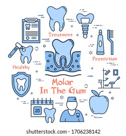 Vector blue line round concept - molar tooth