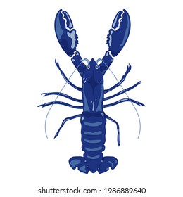 Vector blue lobster in a flat style.