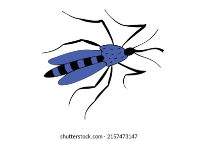 Vector blue mosquito in doodle flat style. Top view. Bright drawing insect. Clipart, design element on theme of nature, spring, summer, isolated