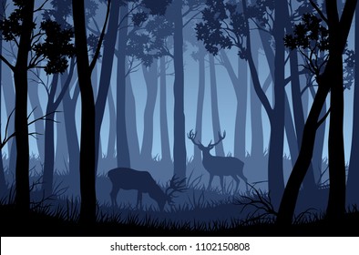 Vector blue night forest landscape with silhouettes of trees and two deers