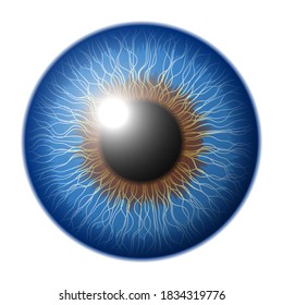 Vector blue pupil in graphic style