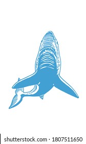 Vector blue shark isolated on white background, graphical illustration,logo element