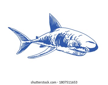 Tiburón azul vectorial aislado en fondo blanco, ilustración gráfica, elemento logotipo