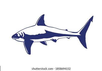 Vector blue shark isolated on white background , marine life