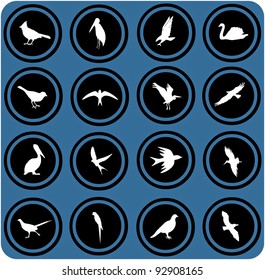 vector blue  signs. silhouettes of birds. birrds icons
