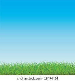Vector. Blue Sky with Green Field