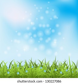 Vector blue sky and green grass