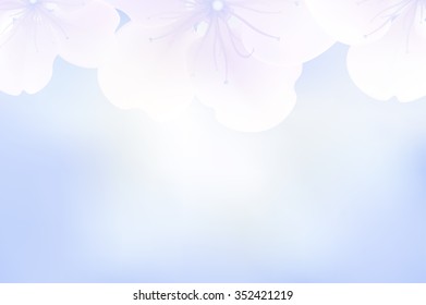 vector blue soft blur background with a delicate sakura flowers with copy space