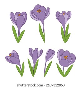 vector blue spring flowers cute crocus bouquette on white