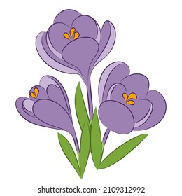vector blue spring flowers cute crocus bouquette on white
