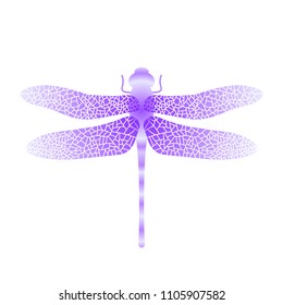 Vector Blue Stylized Dragonfly Isolated on White Background. Insect Logo Design. Aeschna Viridis